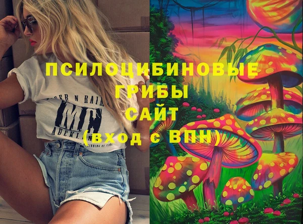 бошки Аркадак