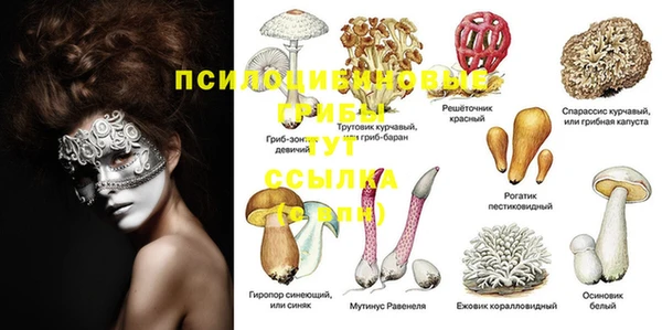 скорость Покачи