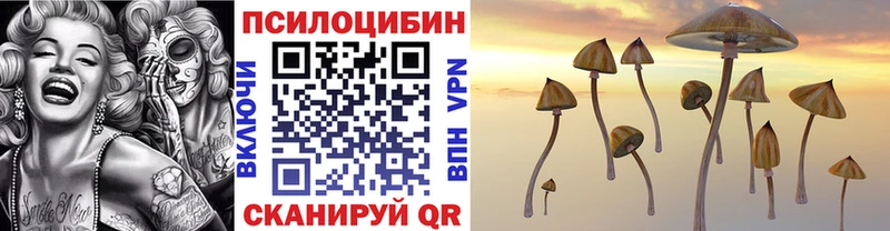 Псилоцибиновые грибы Magic Shrooms Палласовка